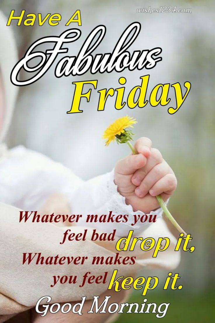 An application scenario or product detail of good morning friday quotes - Image 12