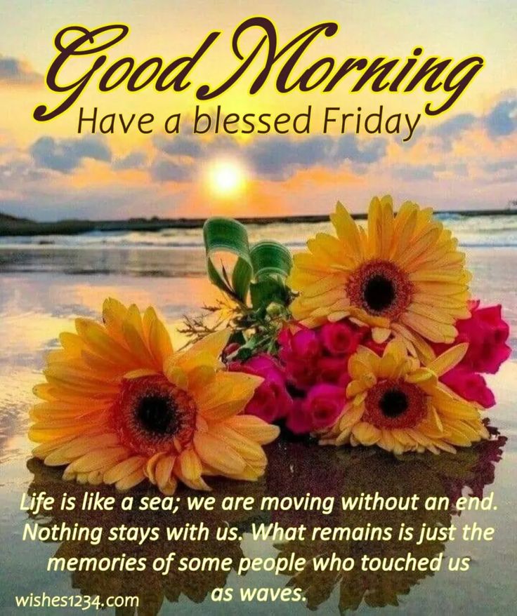 An application scenario or product detail of good morning friday quotes - Image 17