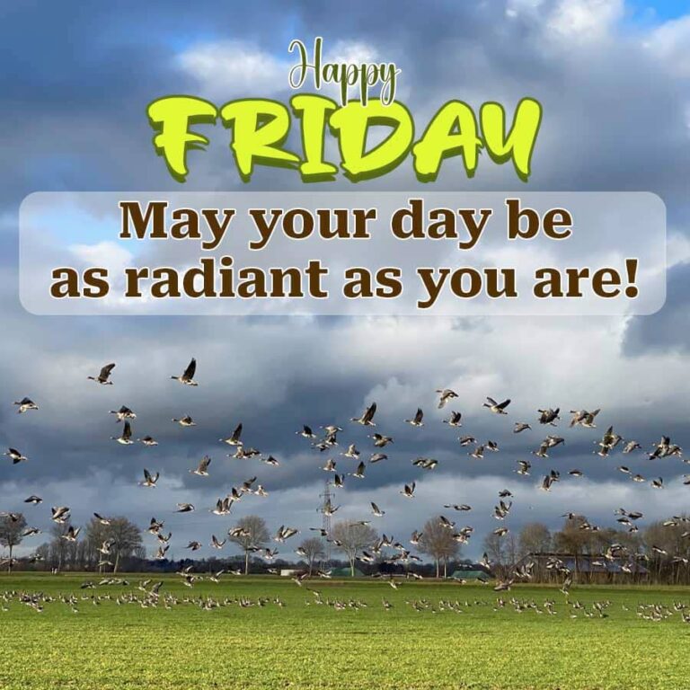 Featured image for the good morning friday quotes guide