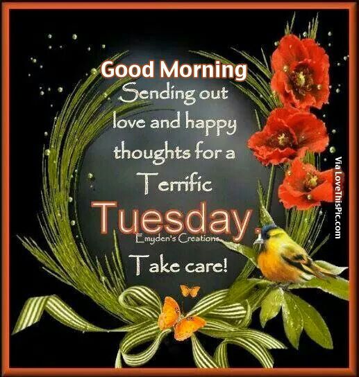 An application scenario or product detail of good morning tuesday quotes - Image 13
