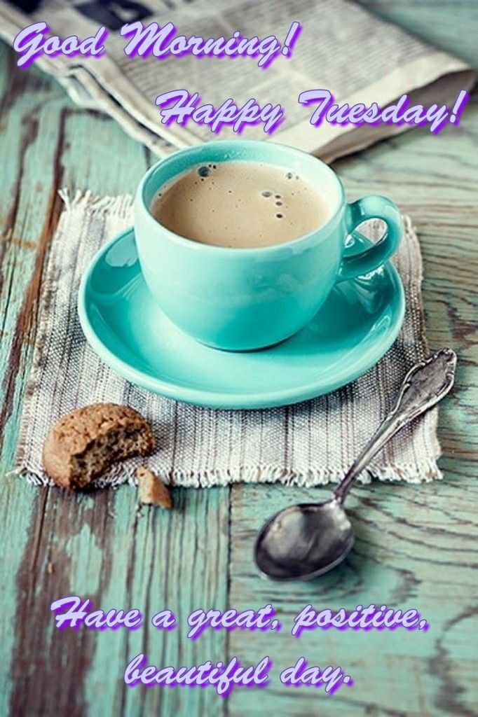 Featured image for the good morning tuesday quotes guide