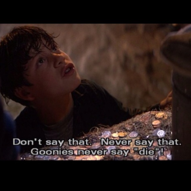An application scenario or product detail of goonies quotes - Image 19
