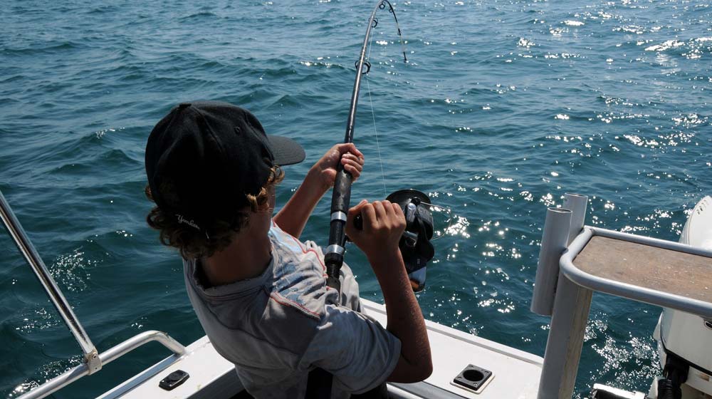 An application scenario or product detail of graphite fishing pole - Image 9