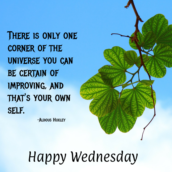 Featured image for the happy weds quotes guide
