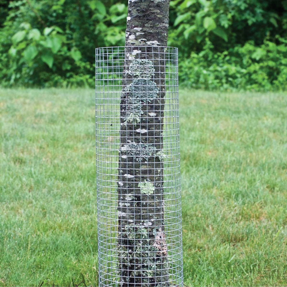 An application scenario or product detail of hardware cloth 24 - Image 20