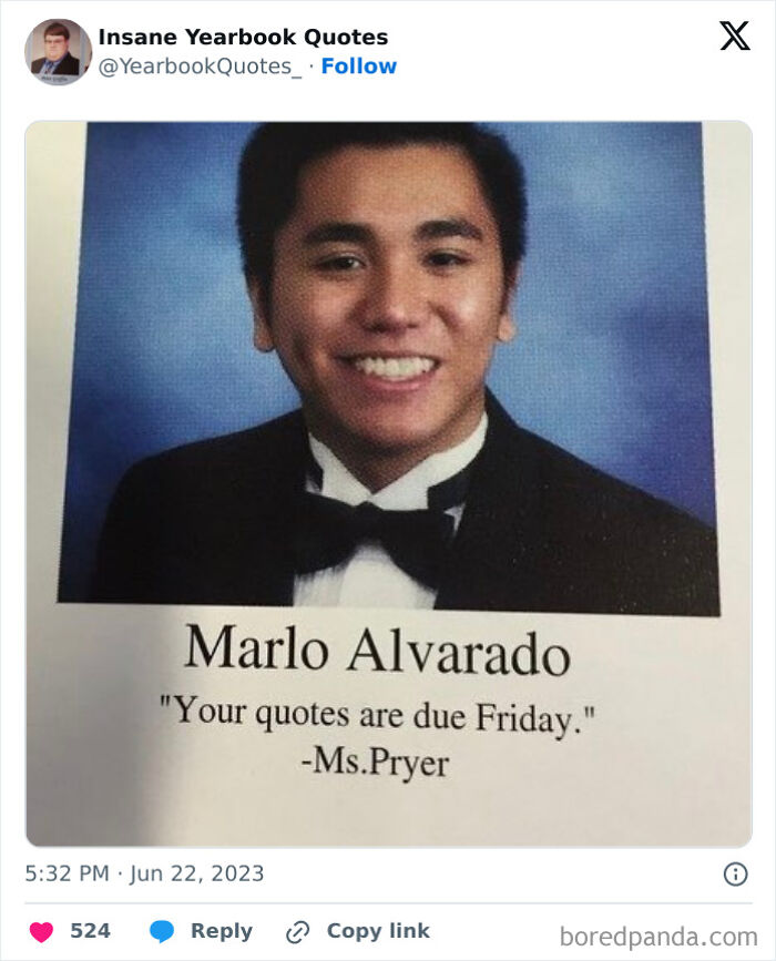An application scenario or product detail of hilarious yearbook quotes - Image 15