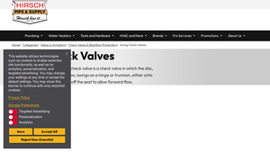 Hirsch - Swing Check Valve