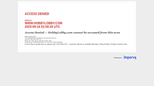 Hobby Lobby - White Eyelet Trim