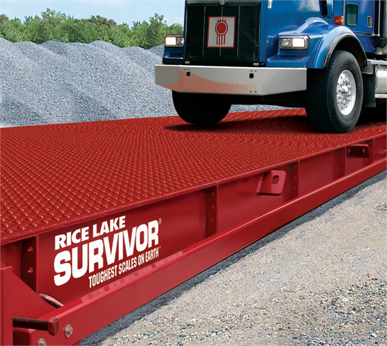 An application scenario or product detail of holtville truck scale - Image 13