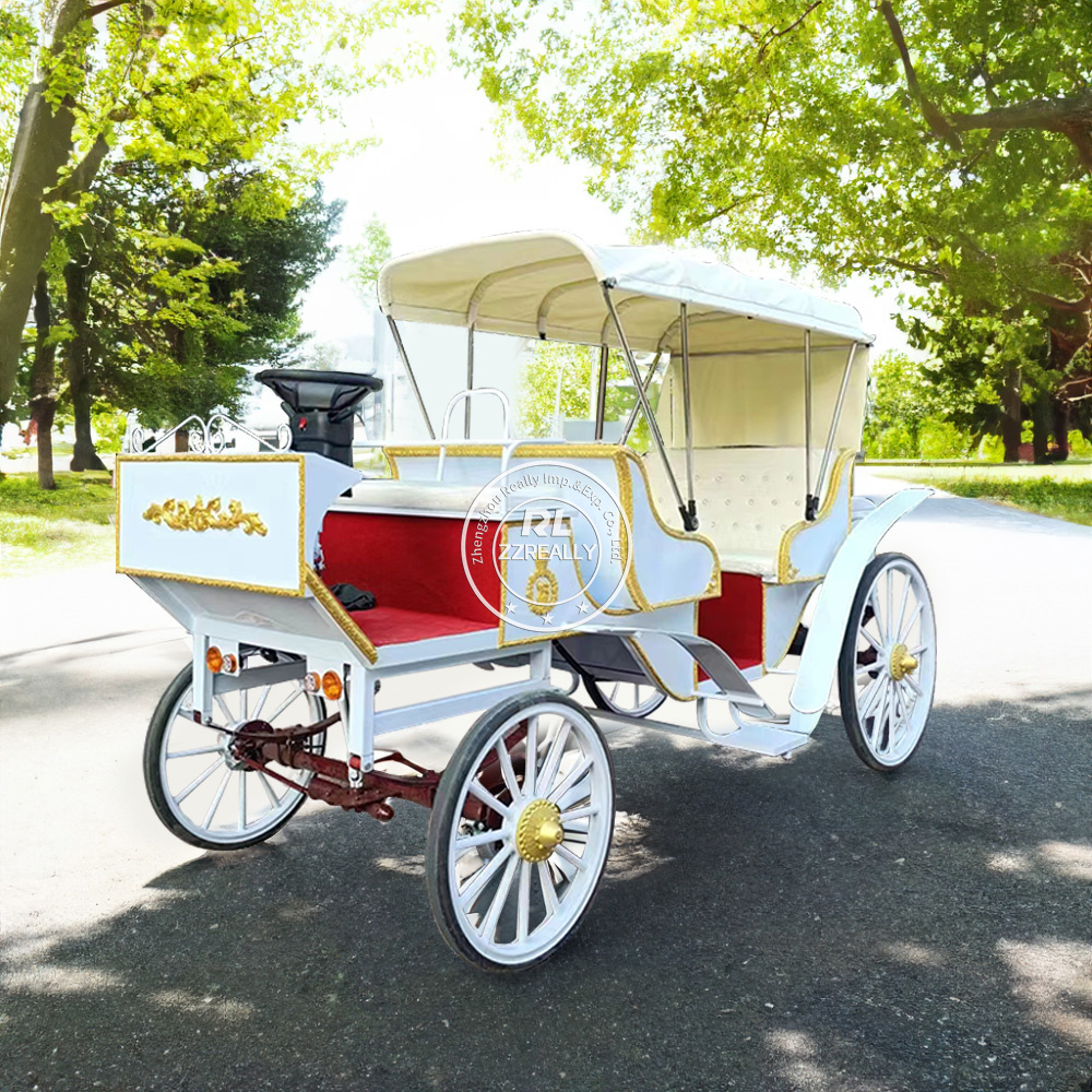 An application scenario or product detail of horse carriage for sale - Image 2