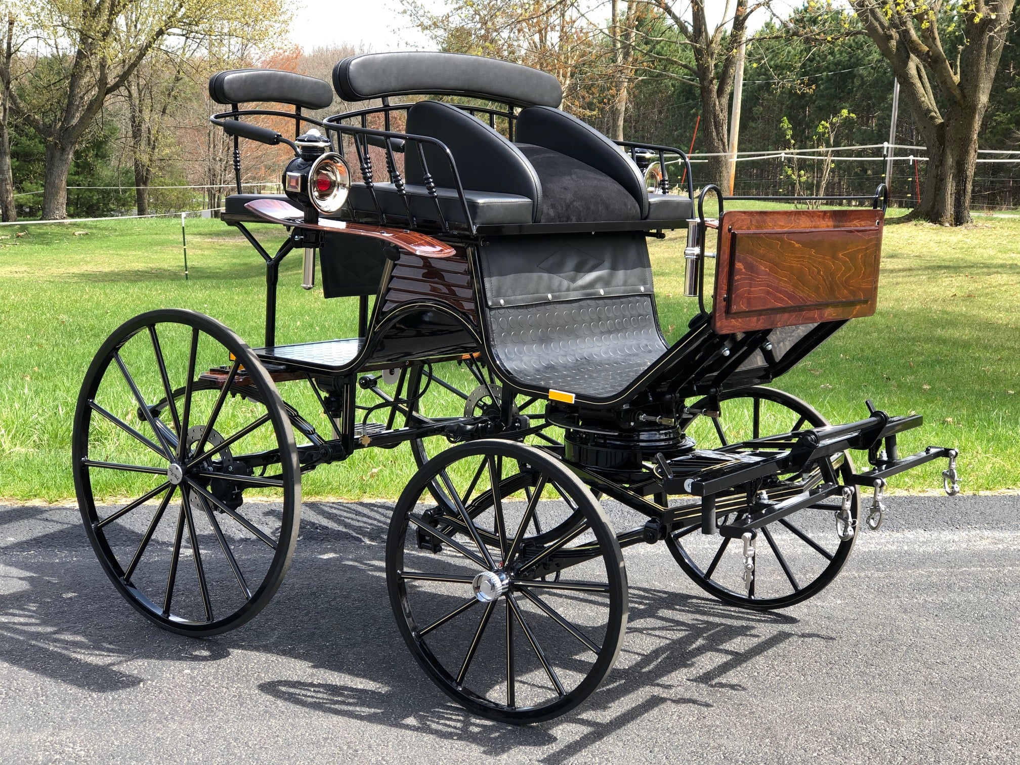 An application scenario or product detail of horse carriage for sale - Image 3