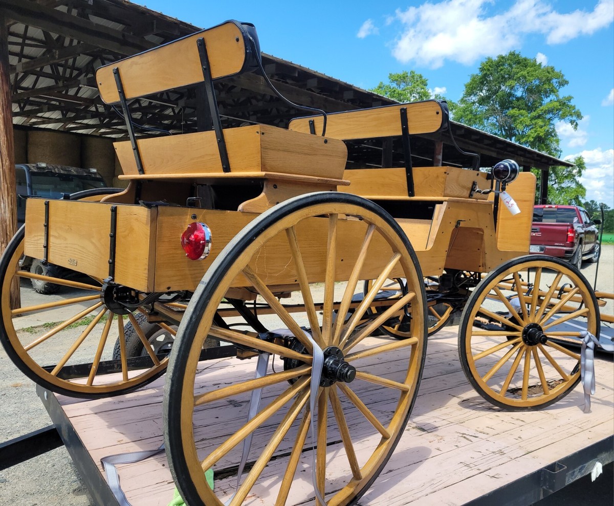 An application scenario or product detail of horse carriage for sale - Image 6