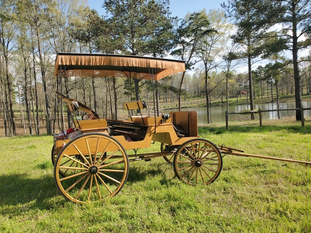 An application scenario or product detail of horse carriage for sale - Image 8