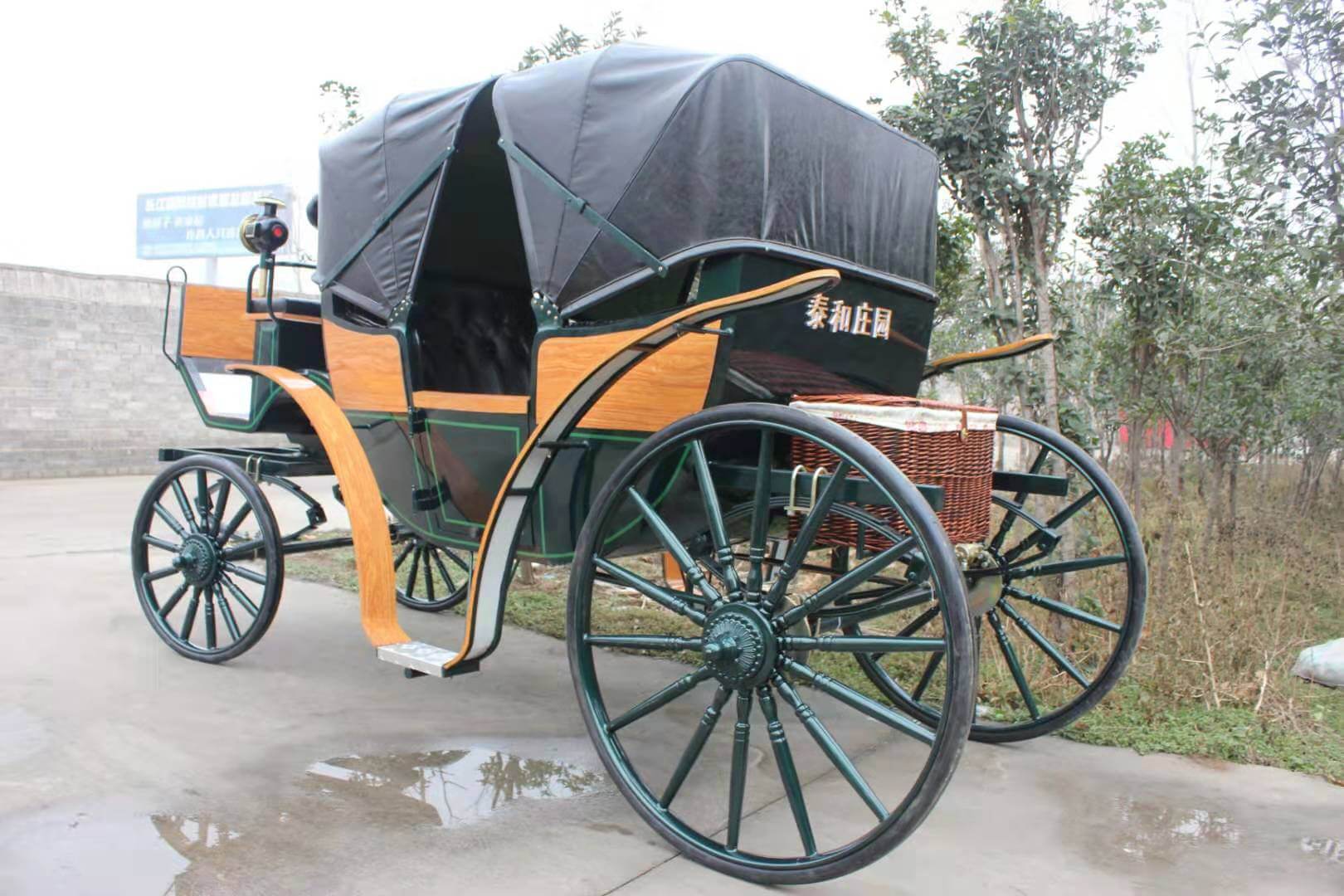 An application scenario or product detail of horse carriage for sale - Image 10