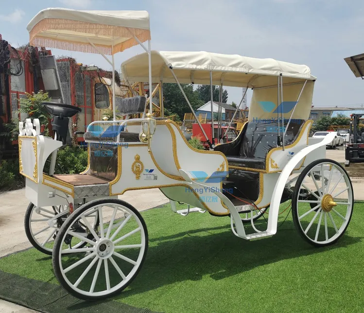 An application scenario or product detail of horse carriage for sale - Image 11