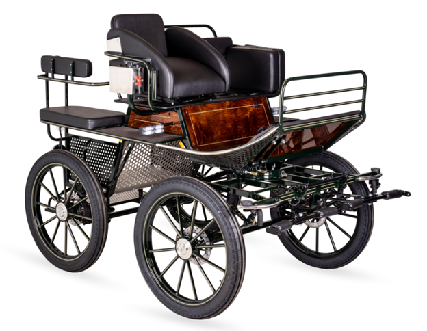 An application scenario or product detail of horse carriage for sale - Image 14