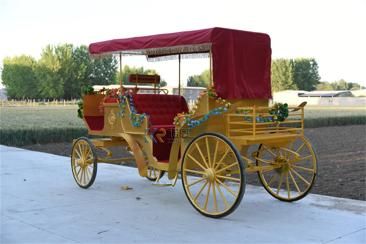An application scenario or product detail of horse carriage for sale - Image 15