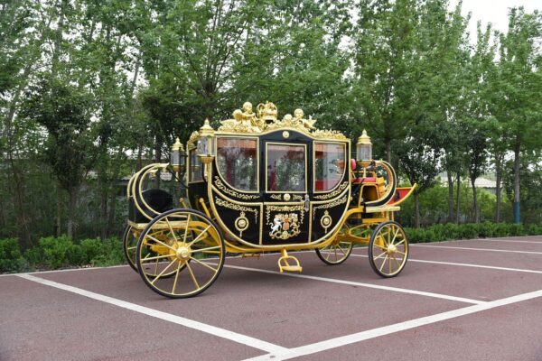 An application scenario or product detail of horse carriage for sale - Image 16