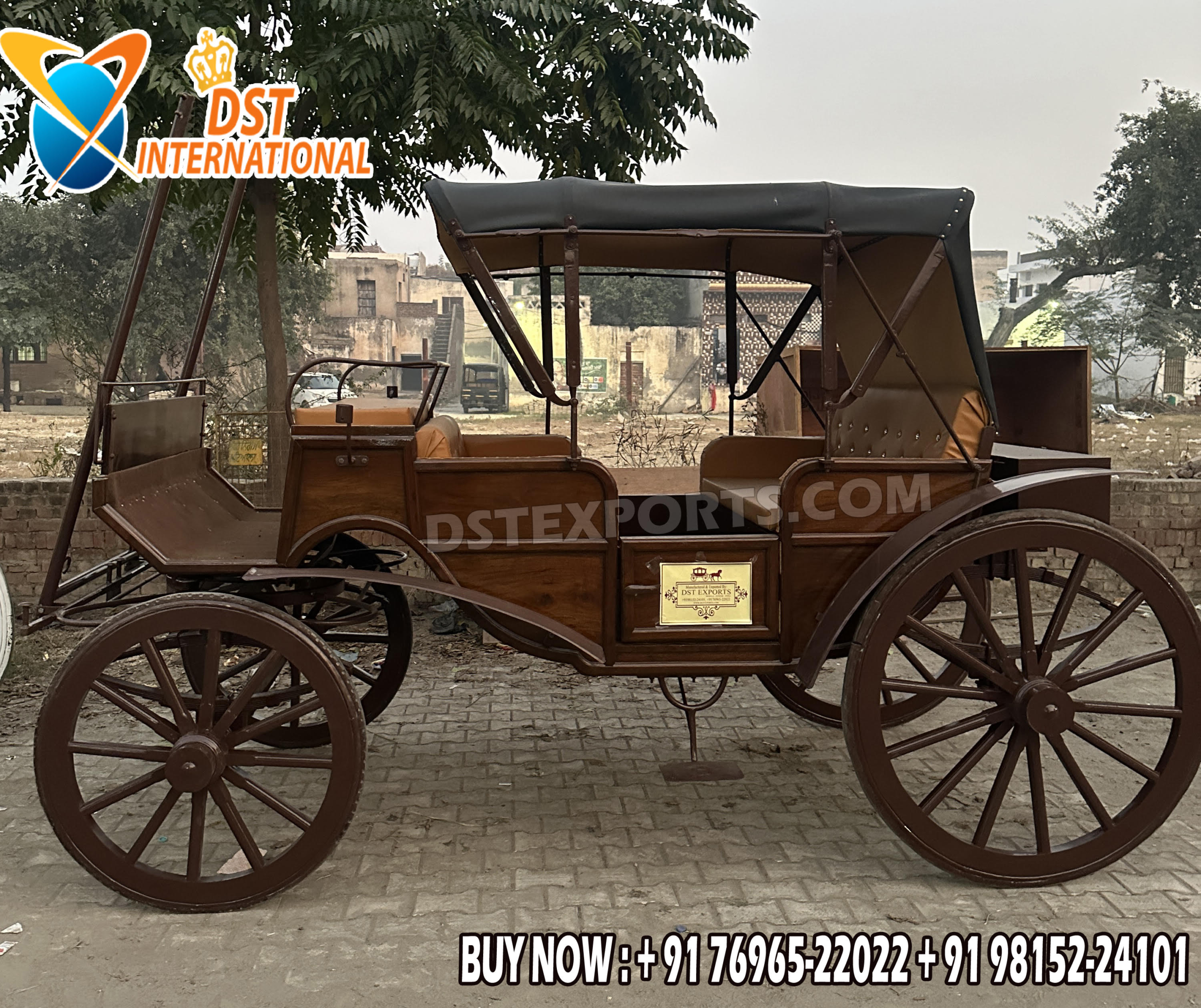 An application scenario or product detail of horse carriage for sale - Image 19