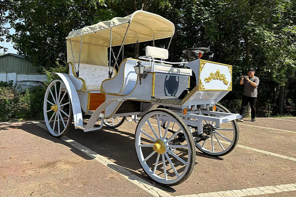 An application scenario or product detail of horse carriage for sale - Image 20