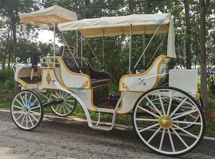 An application scenario or product detail of horse carriage for sale - Image 22