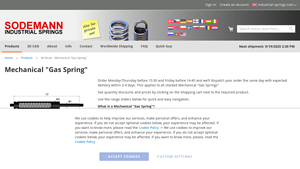 Industrial Springs - M-Struts