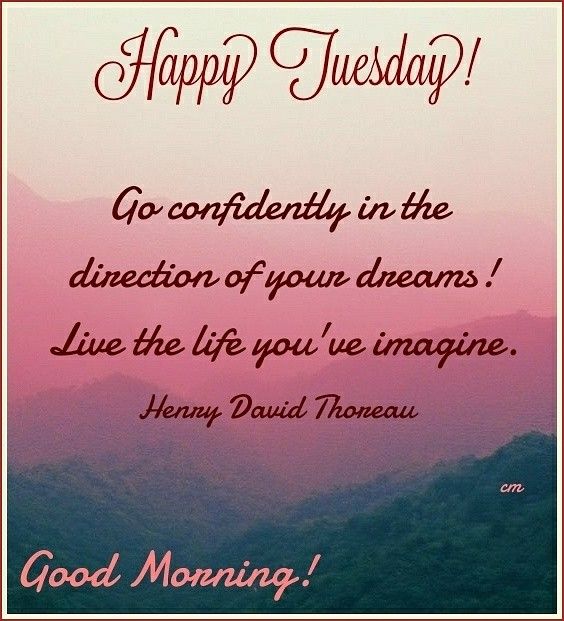 An application scenario or product detail of inspiration good morning tuesday - Image 17