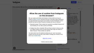 Instagram - Scraping Services