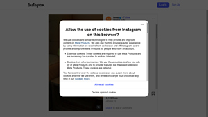 Instagram - Scraping Services