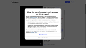 Instagram - Scraping Services