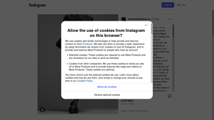 Instagram Scraping Services - Monthly Page Inquiries
