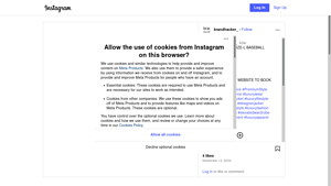 Instagram - Scraping Services
