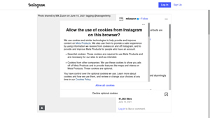 ScrapingDog - Instagram Data Scraping