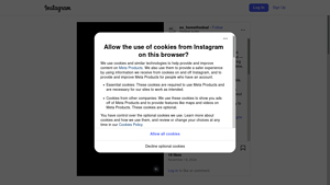 Scraping Dog - Instagram Data Extraction
