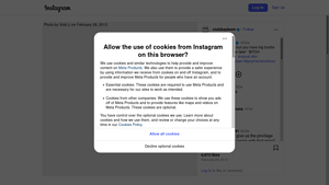 Instagram Scraping Services - Monthly Page Inquiries