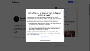 Instagram - Scraping Services