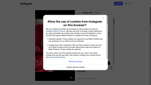 ScrapingDog - Instagram Scraping Services