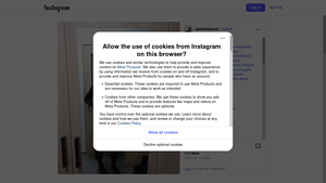 Instagram - Scraping Services