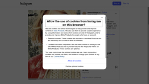 Instagram Scraping Services - Monthly Page Inquiries
