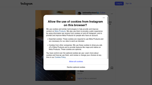 Instagram - Scraping Services