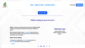 Vblink - Gaming System