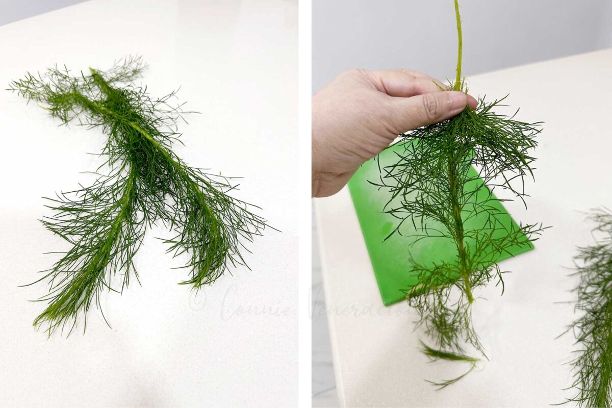 An application scenario or product detail of is dill weed the same as dill - Image 16