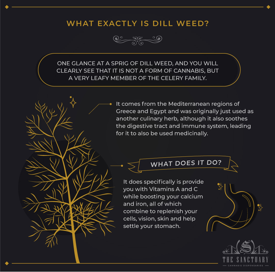 An application scenario or product detail of is dill weed the same as dill - Image 19