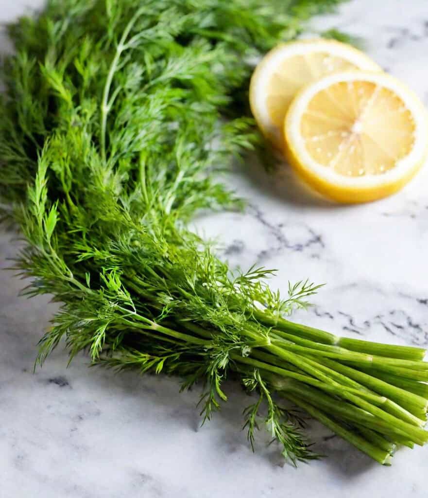 An application scenario or product detail of is dill weed the same as dill - Image 22