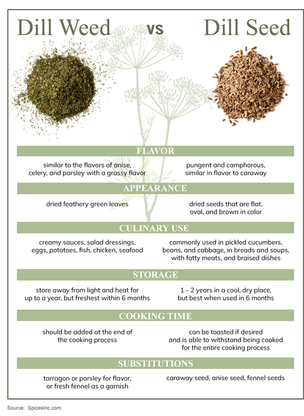 Featured image for the is dill weed the same as dill guide