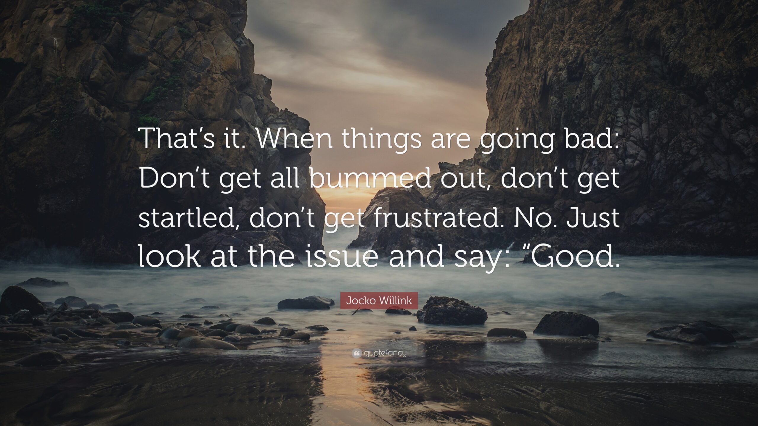 An application scenario or product detail of jocko willink quotes - Image 18