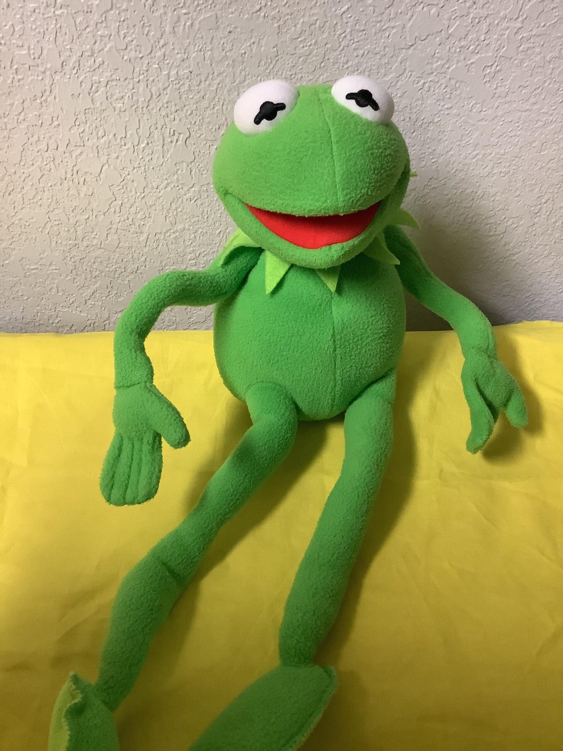 An application scenario or product detail of kermit the frog plush - Image 16