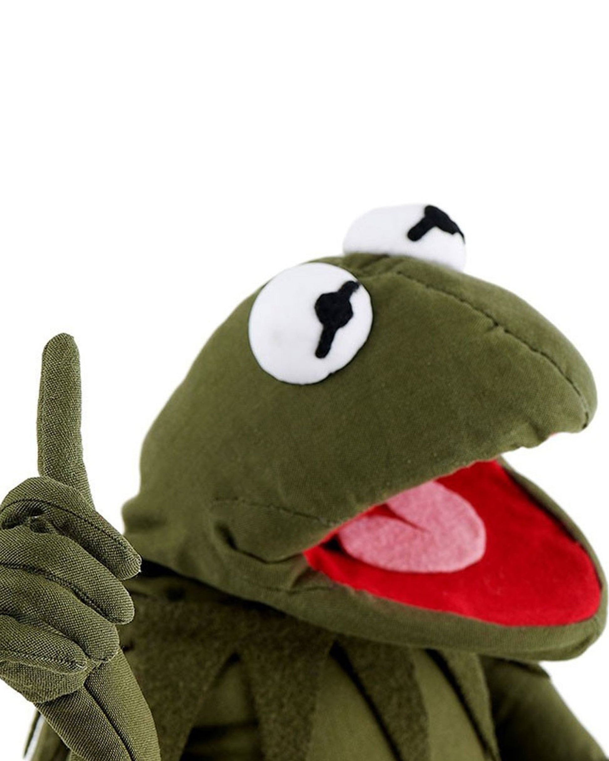 An application scenario or product detail of kermit the frog plush - Image 19