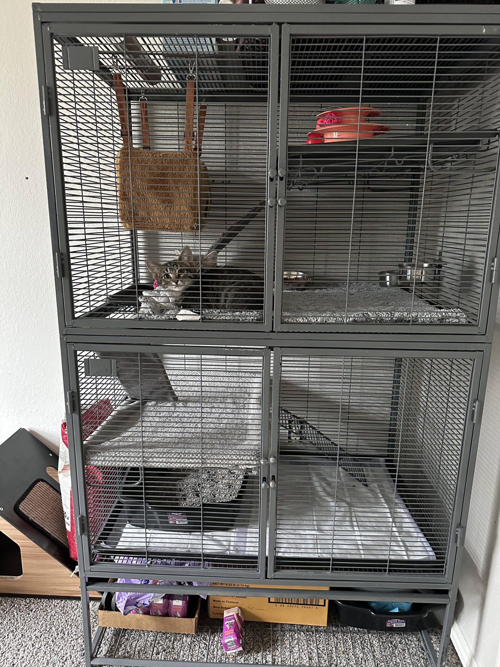 An application scenario or product detail of kittens escape cage pet store china - Image 18