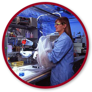 An application scenario or product detail of laboratory chambers - Image 23